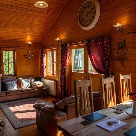 George Cabin - Log Cabin In Wales With Hot Tub Newtown  Buitenkant foto