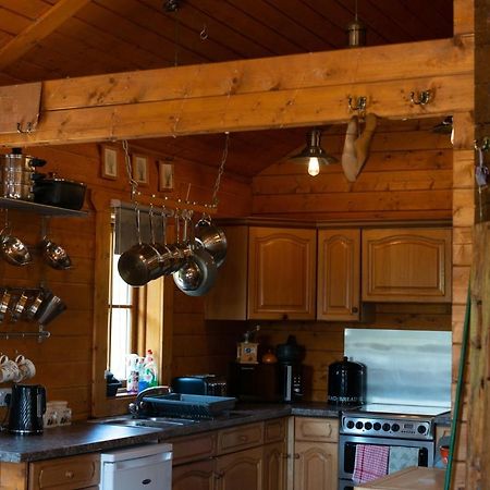 George Cabin - Log Cabin In Wales With Hot Tub Newtown  Buitenkant foto