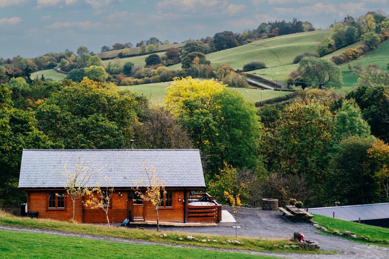 George Cabin - Log Cabin In Wales With Hot Tub Newtown  Buitenkant foto