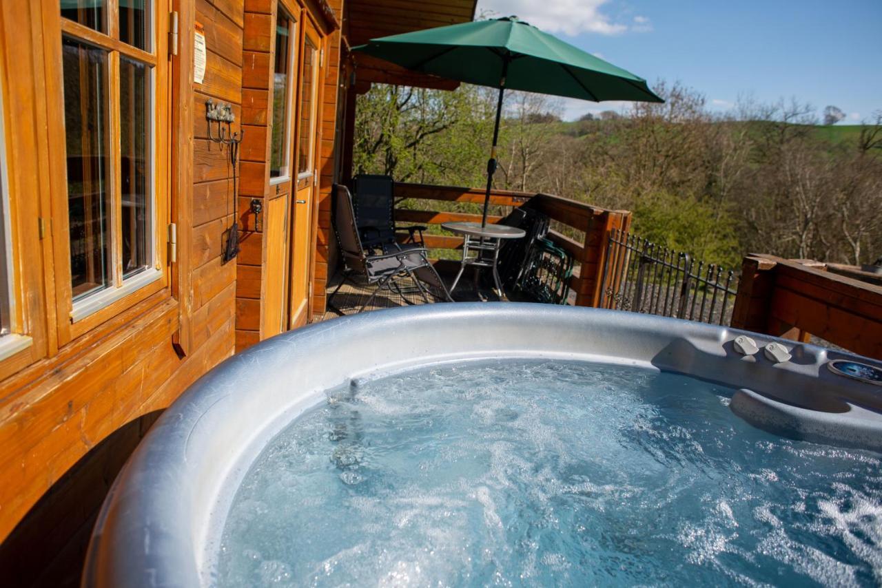George Cabin - Log Cabin In Wales With Hot Tub Newtown  Buitenkant foto