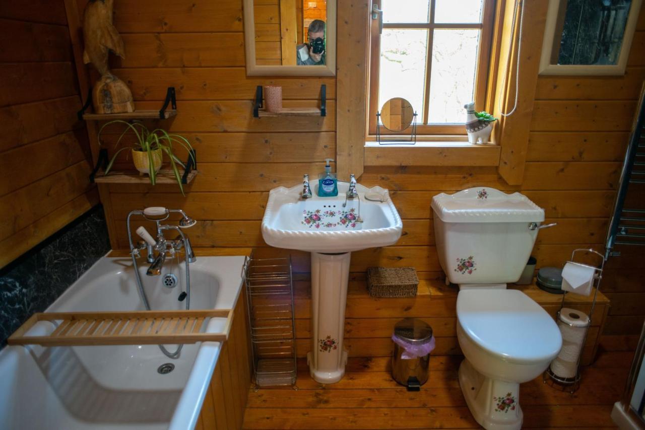 George Cabin - Log Cabin In Wales With Hot Tub Newtown  Buitenkant foto