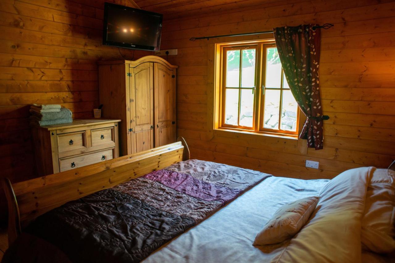 George Cabin - Log Cabin In Wales With Hot Tub Newtown  Buitenkant foto