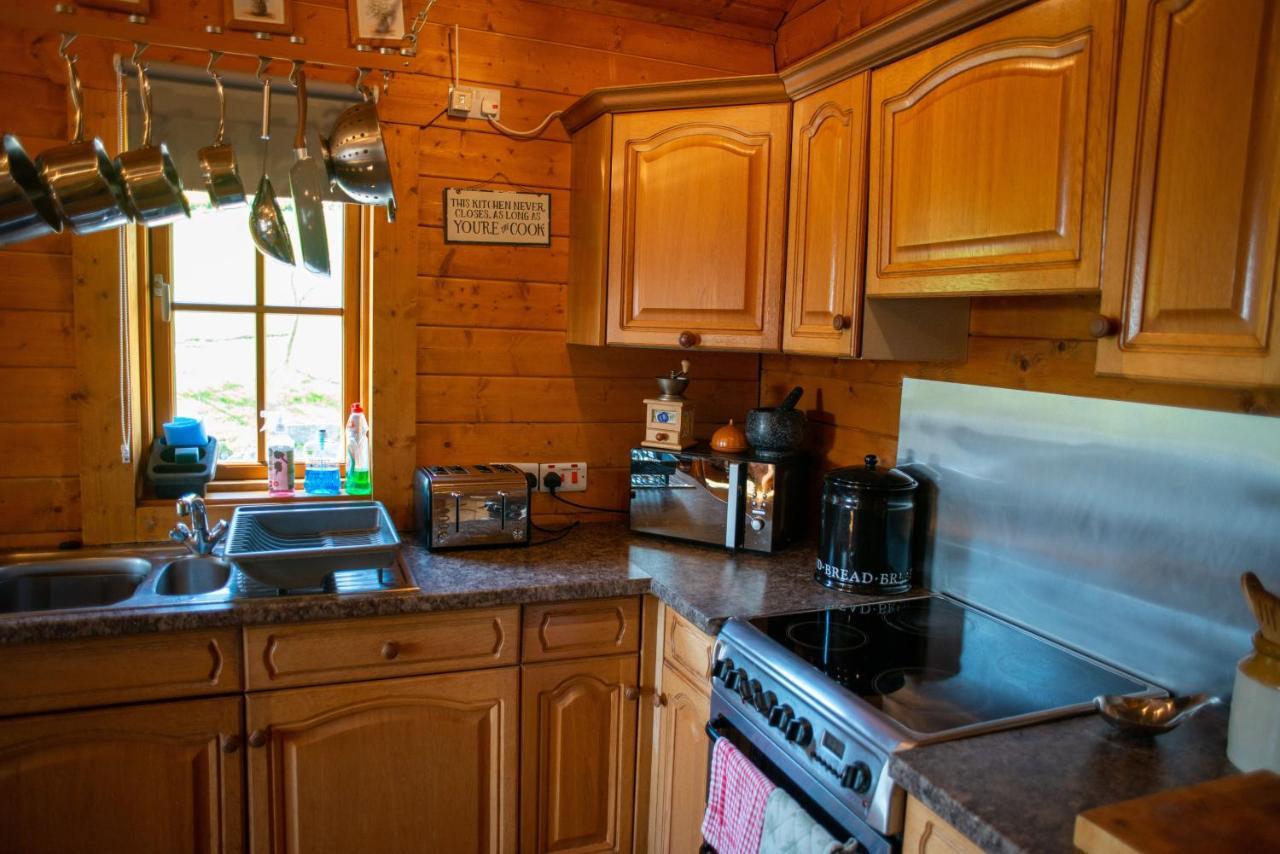 George Cabin - Log Cabin In Wales With Hot Tub Newtown  Buitenkant foto